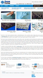 Mobile Screenshot of foamdistributing.com